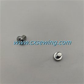 Screws M 5 × 6(nickel plating)(imported)